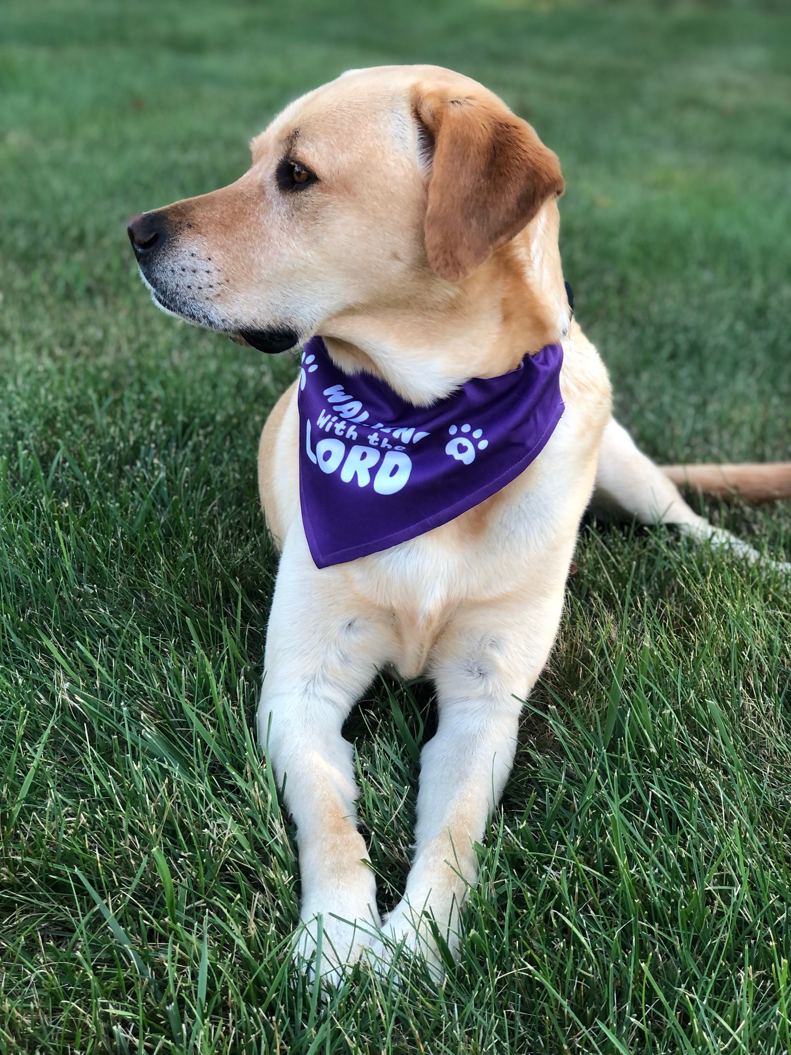 Walking with the Lord Pet Bandana Collar