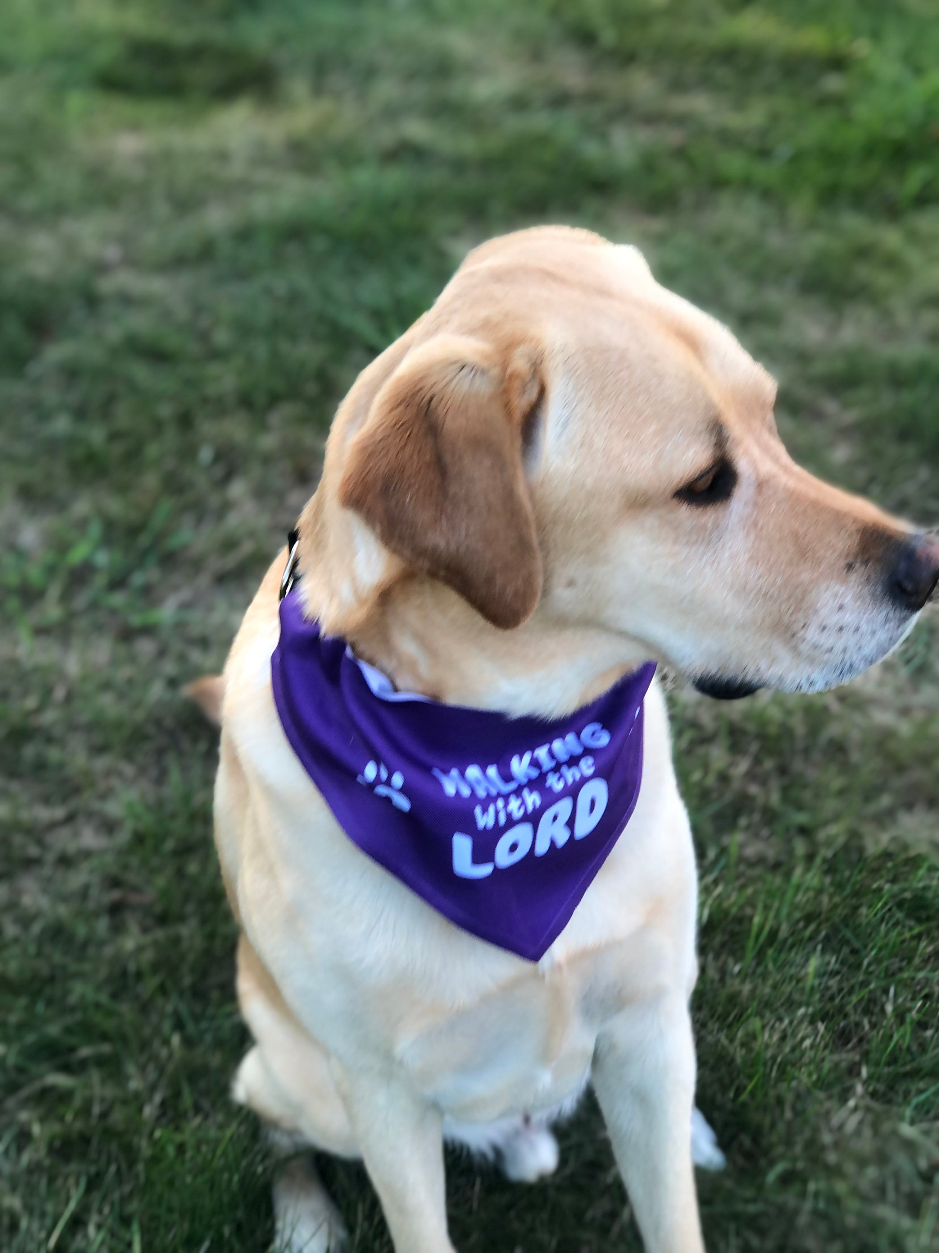 Walking with the Lord Pet Bandana Collar