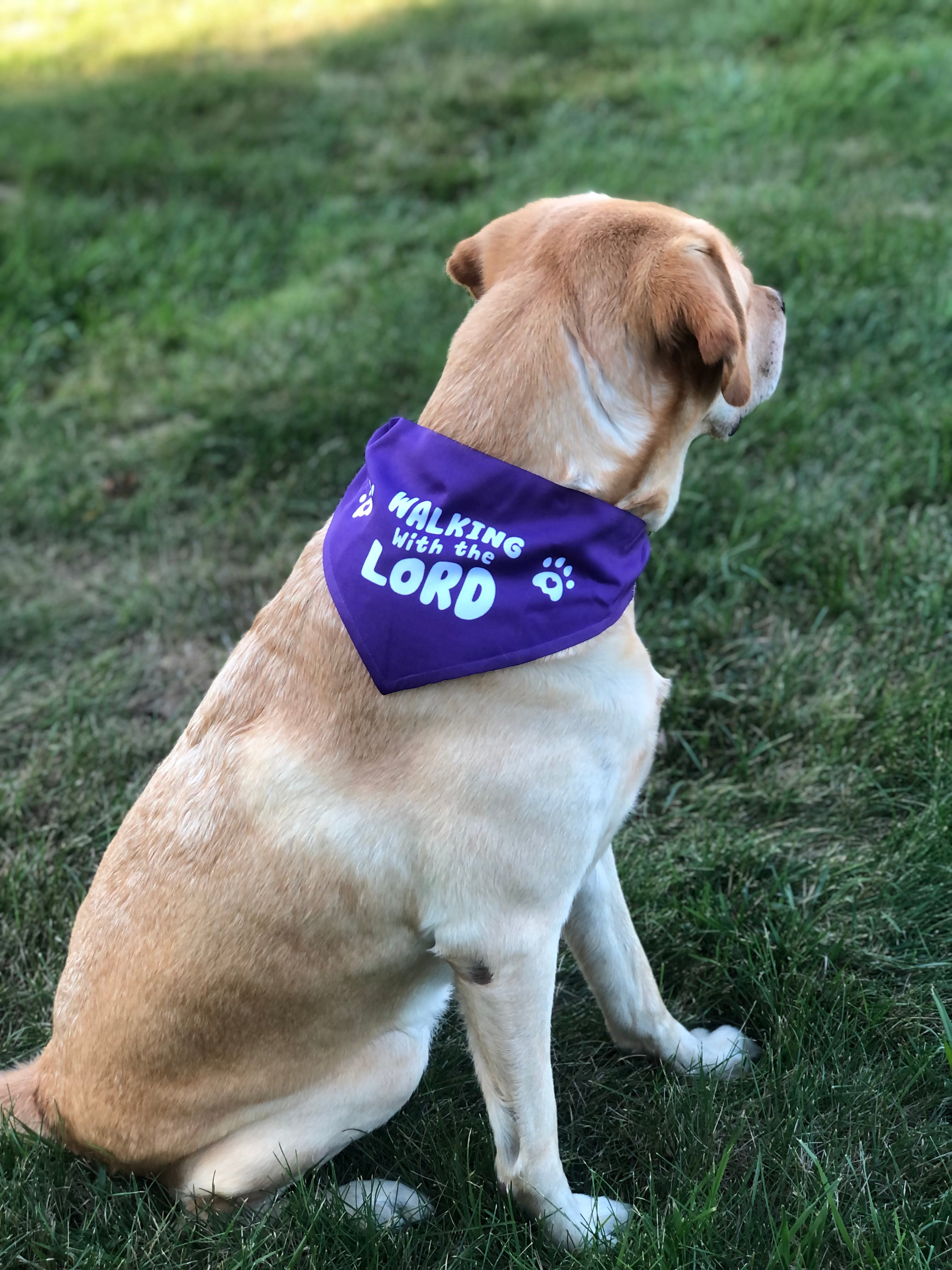 Walking with the Lord Pet Bandana Collar